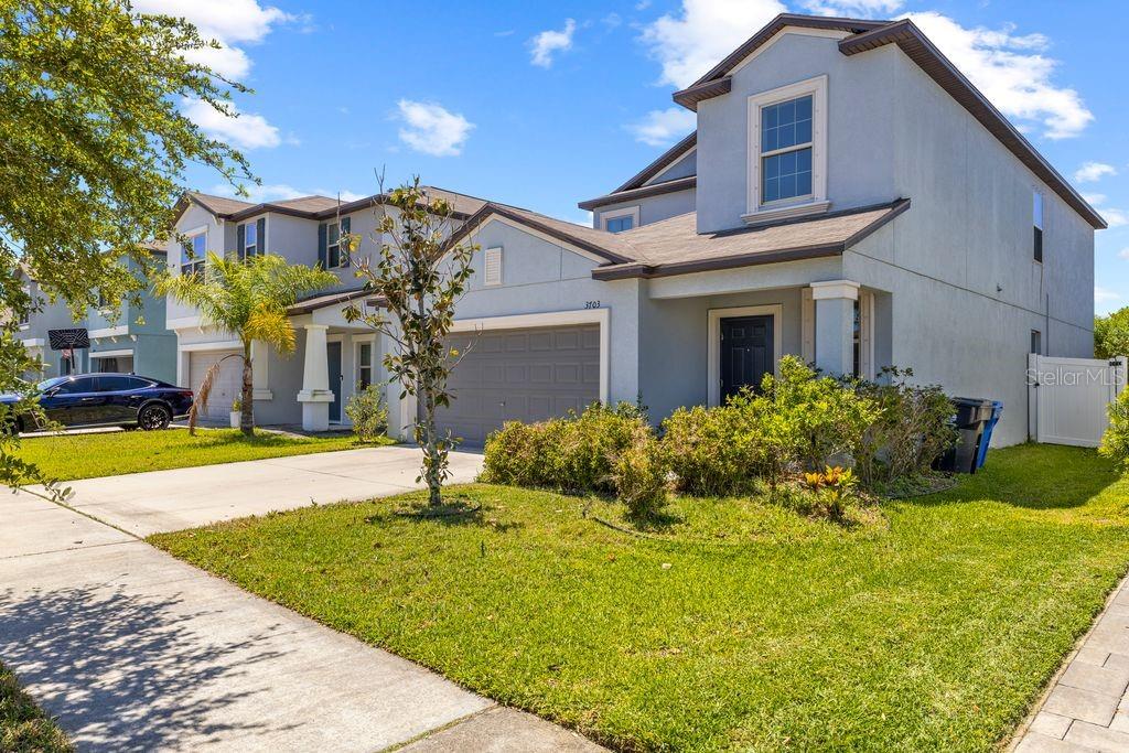 3703 Globe Thistle, Tampa, FL 33619