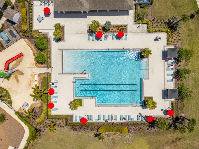 3703 Globe Thistle, Tampa, FL 33619