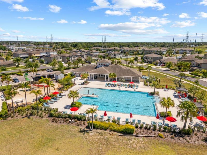 3703 Globe Thistle, Tampa, FL 33619