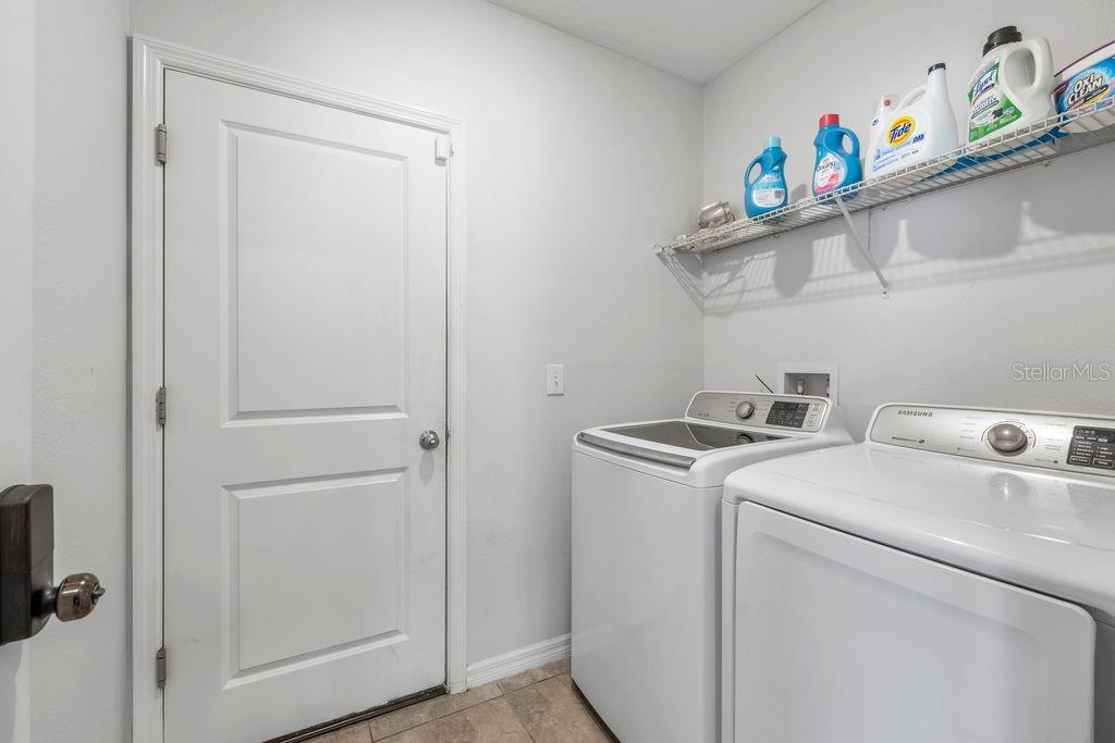 3703 Globe Thistle, Tampa, FL 33619