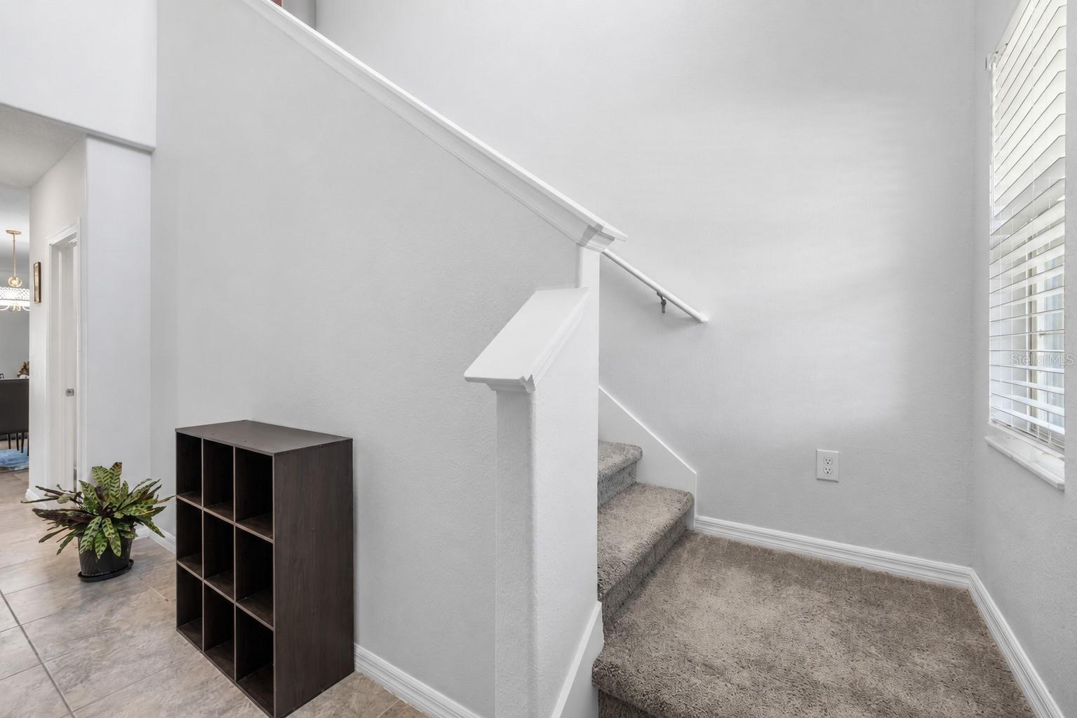 3703 Globe Thistle, Tampa, FL 33619