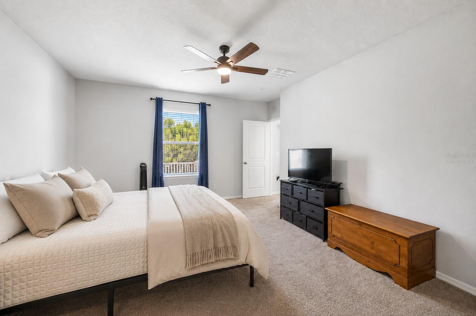 3703 Globe Thistle, Tampa, FL 33619