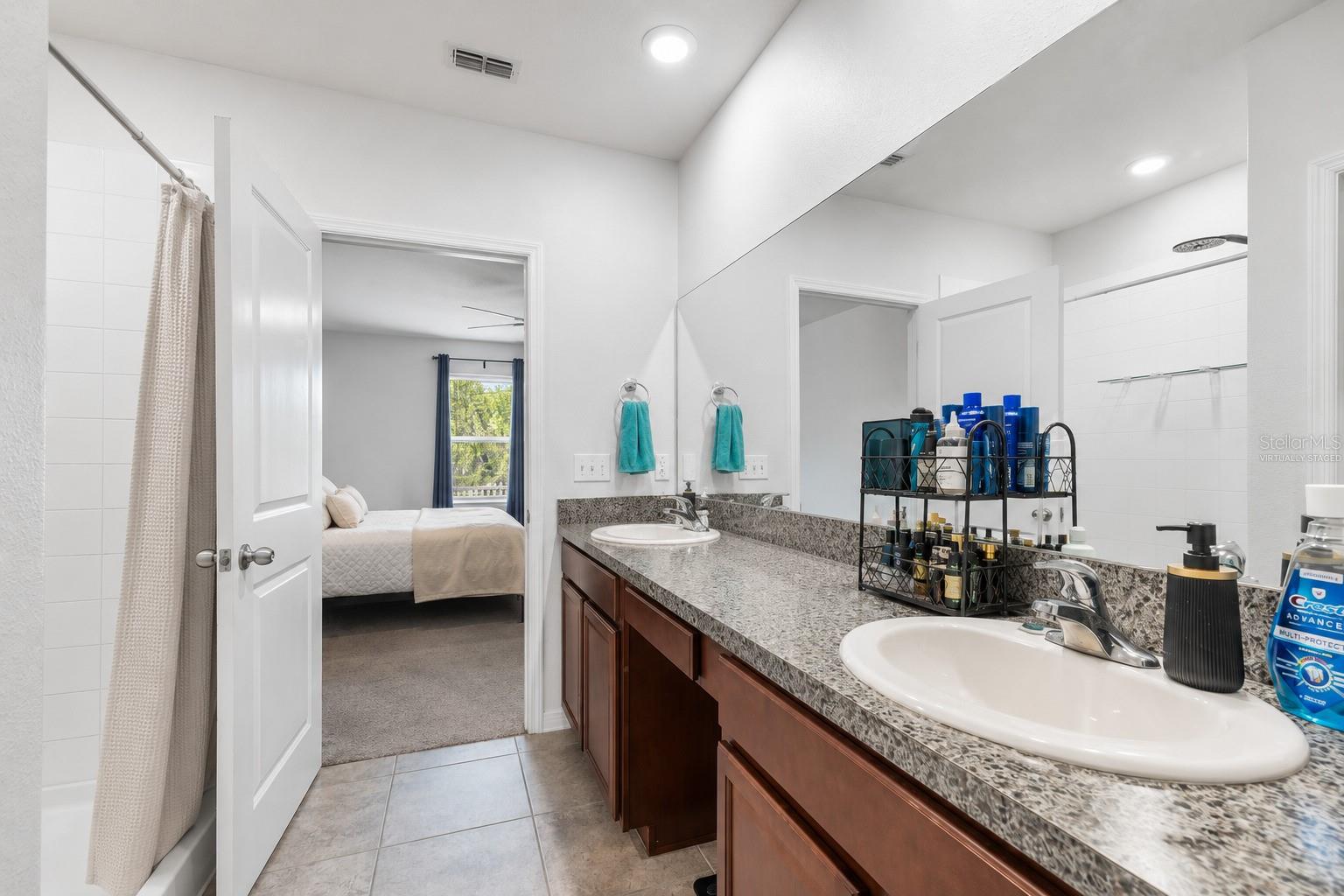 3703 Globe Thistle, Tampa, FL 33619