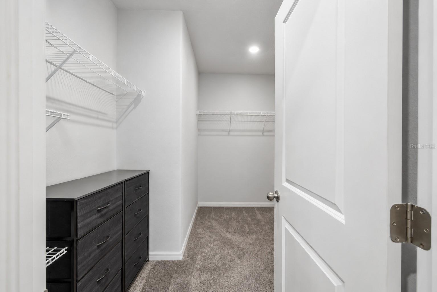 3703 Globe Thistle, Tampa, FL 33619