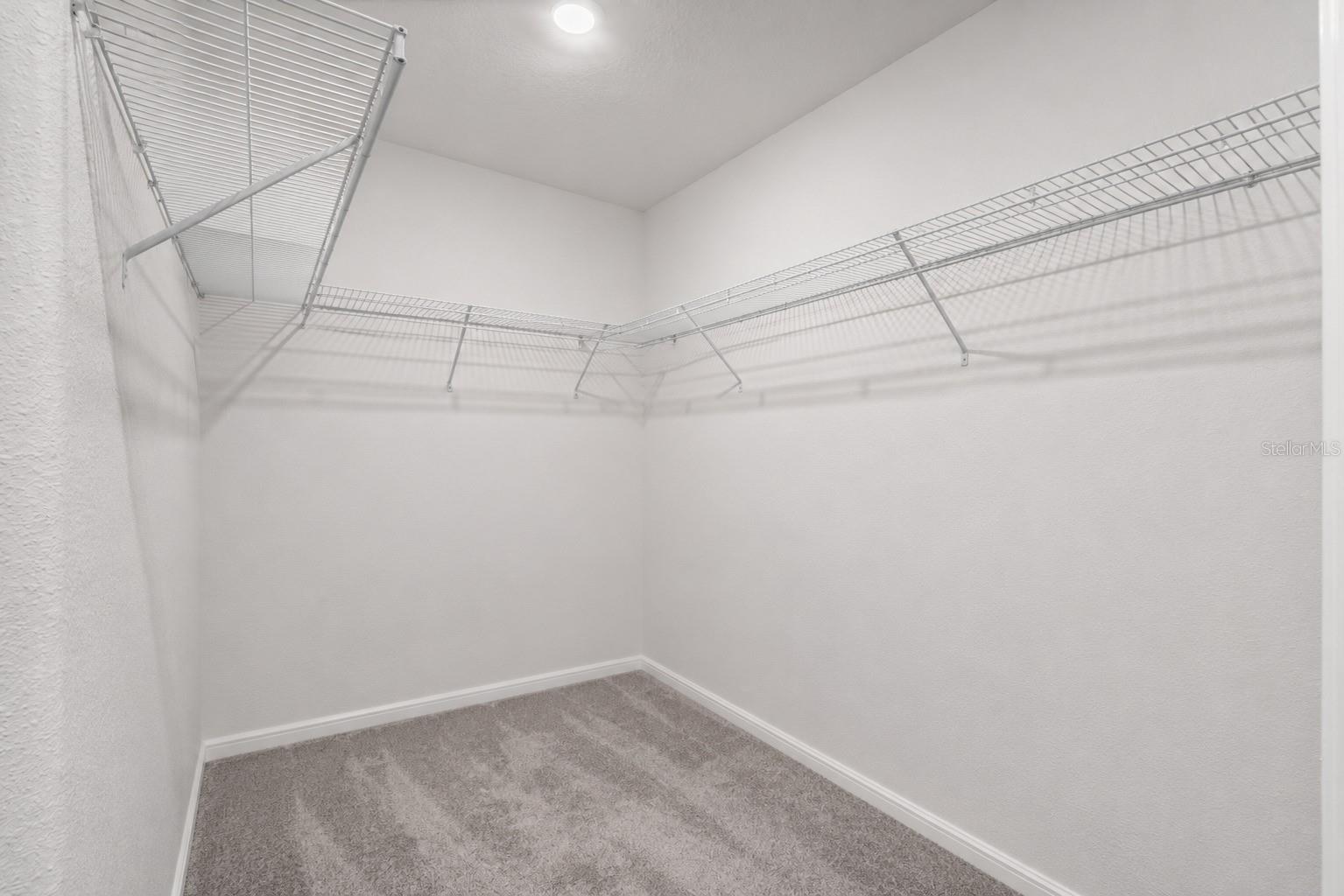 3703 Globe Thistle, Tampa, FL 33619