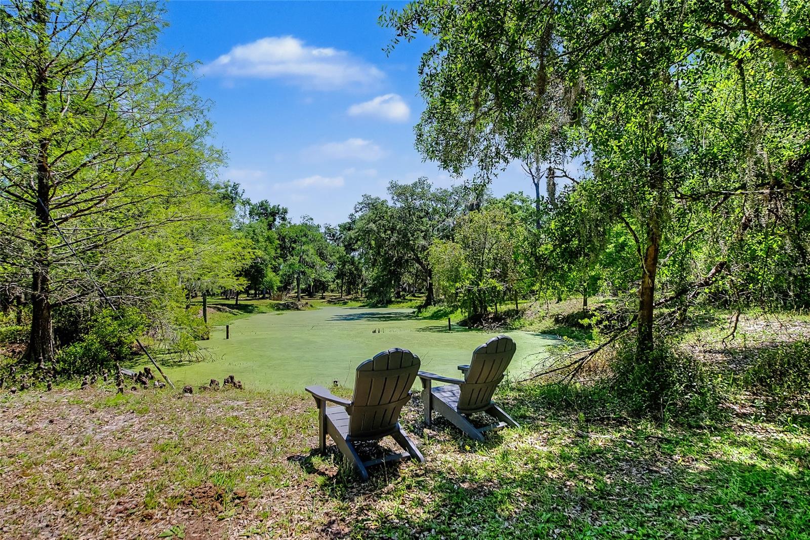 15750 Wilson, Sarasota, FL 34240
