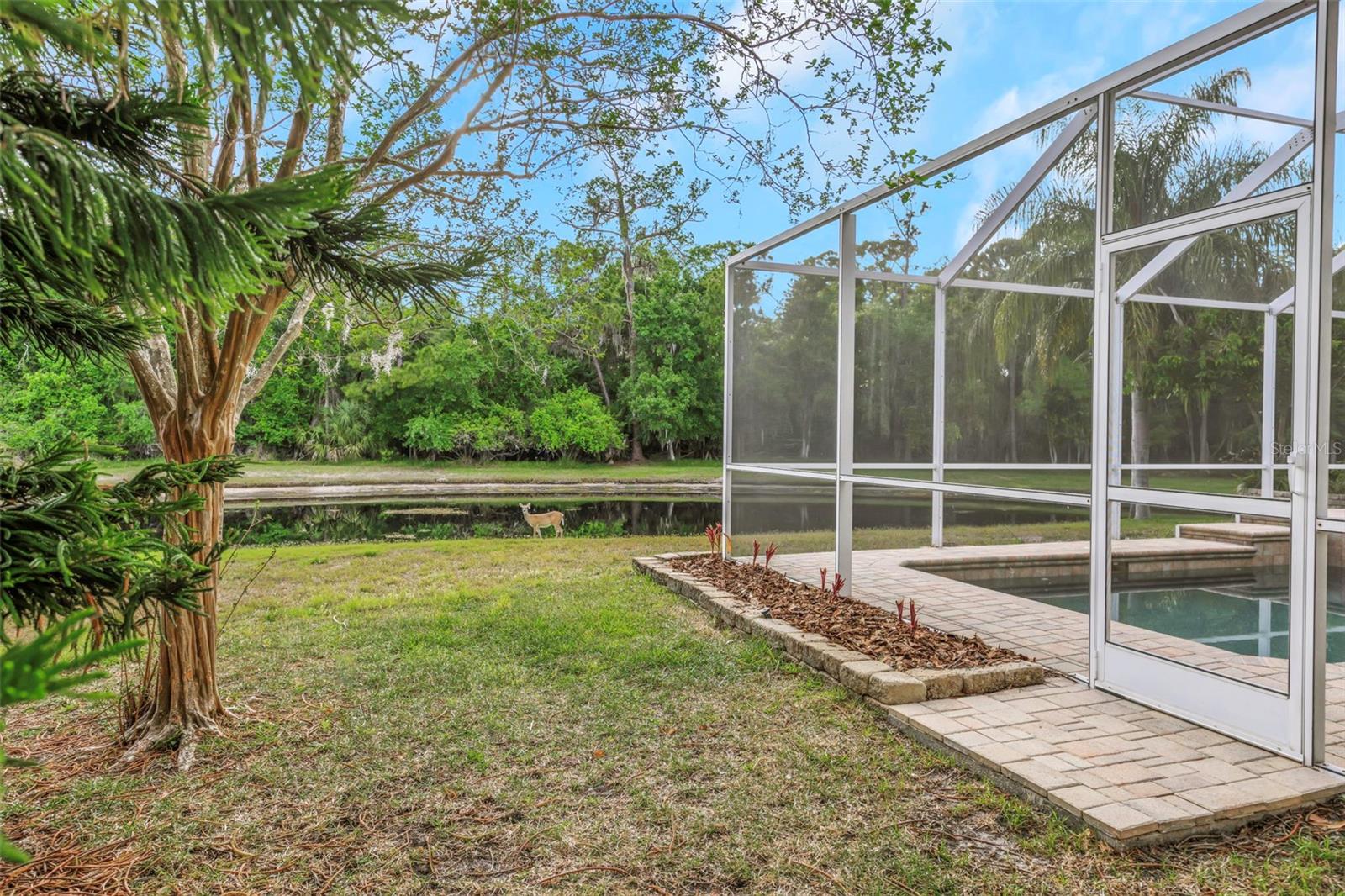 4152 Grandchamp, Palm Harbor, FL 34685
