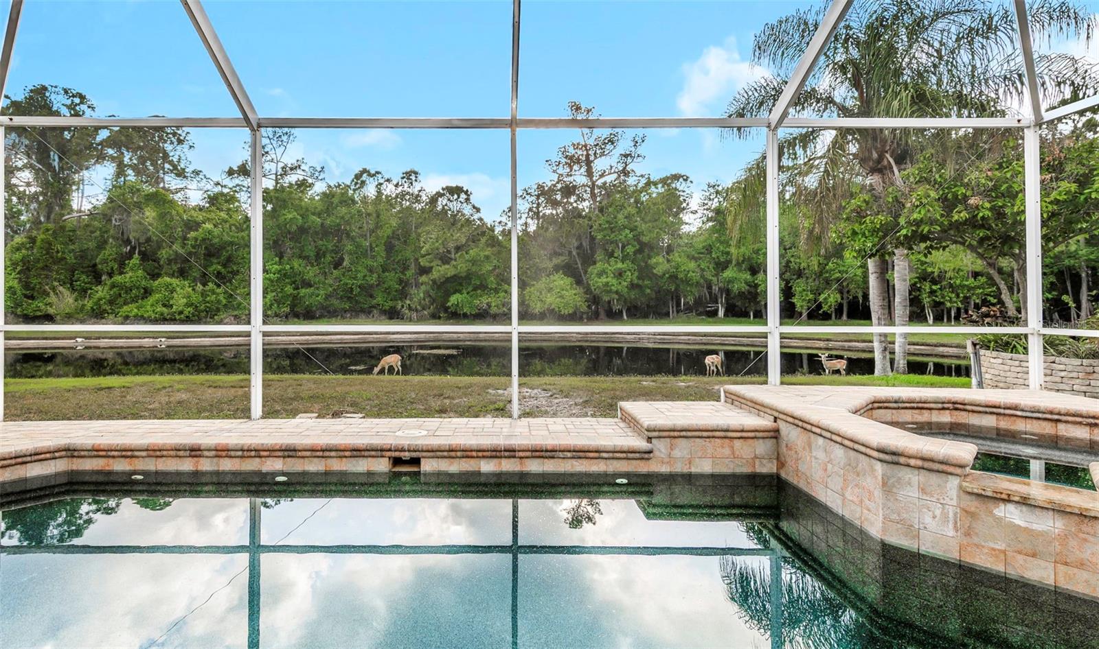 4152 Grandchamp, Palm Harbor, FL 34685