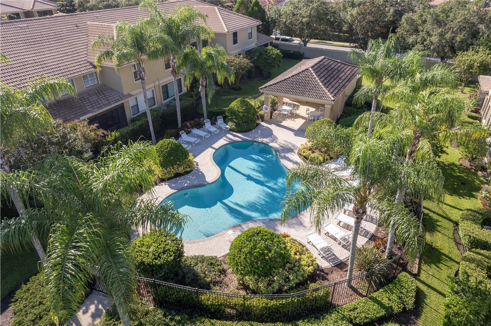 2527 Silverback, Palm Harbor, FL 34684