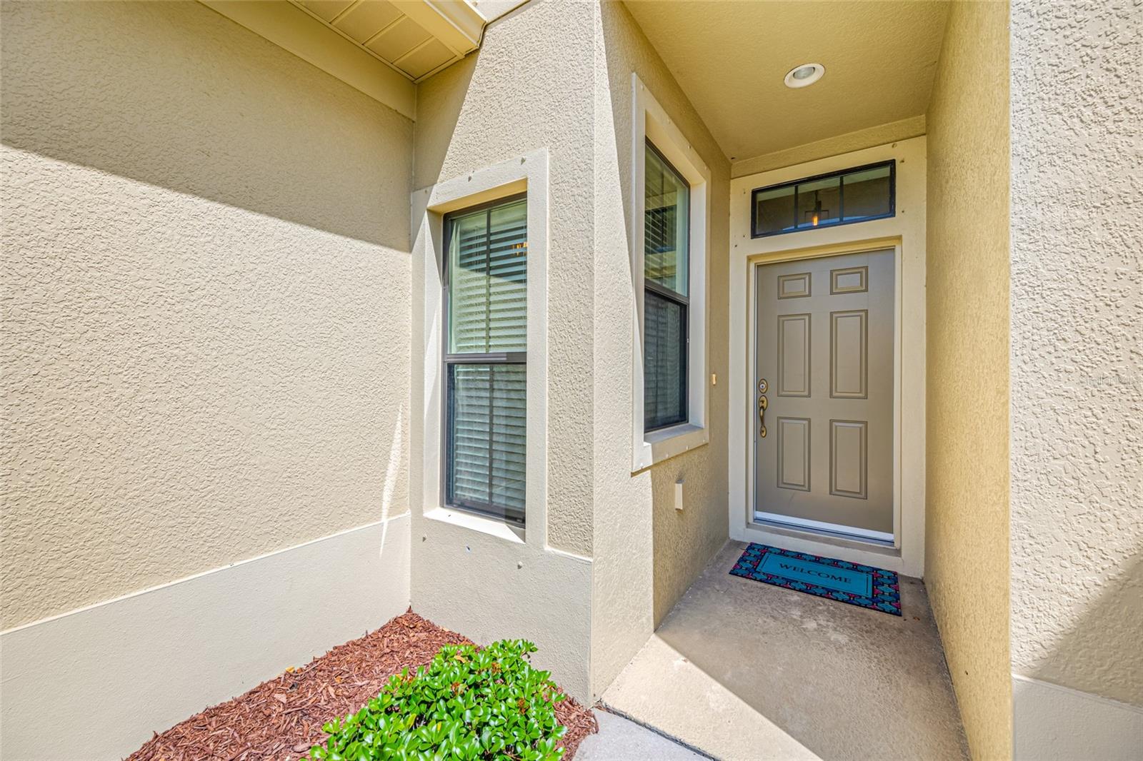 2527 Silverback, Palm Harbor, FL 34684