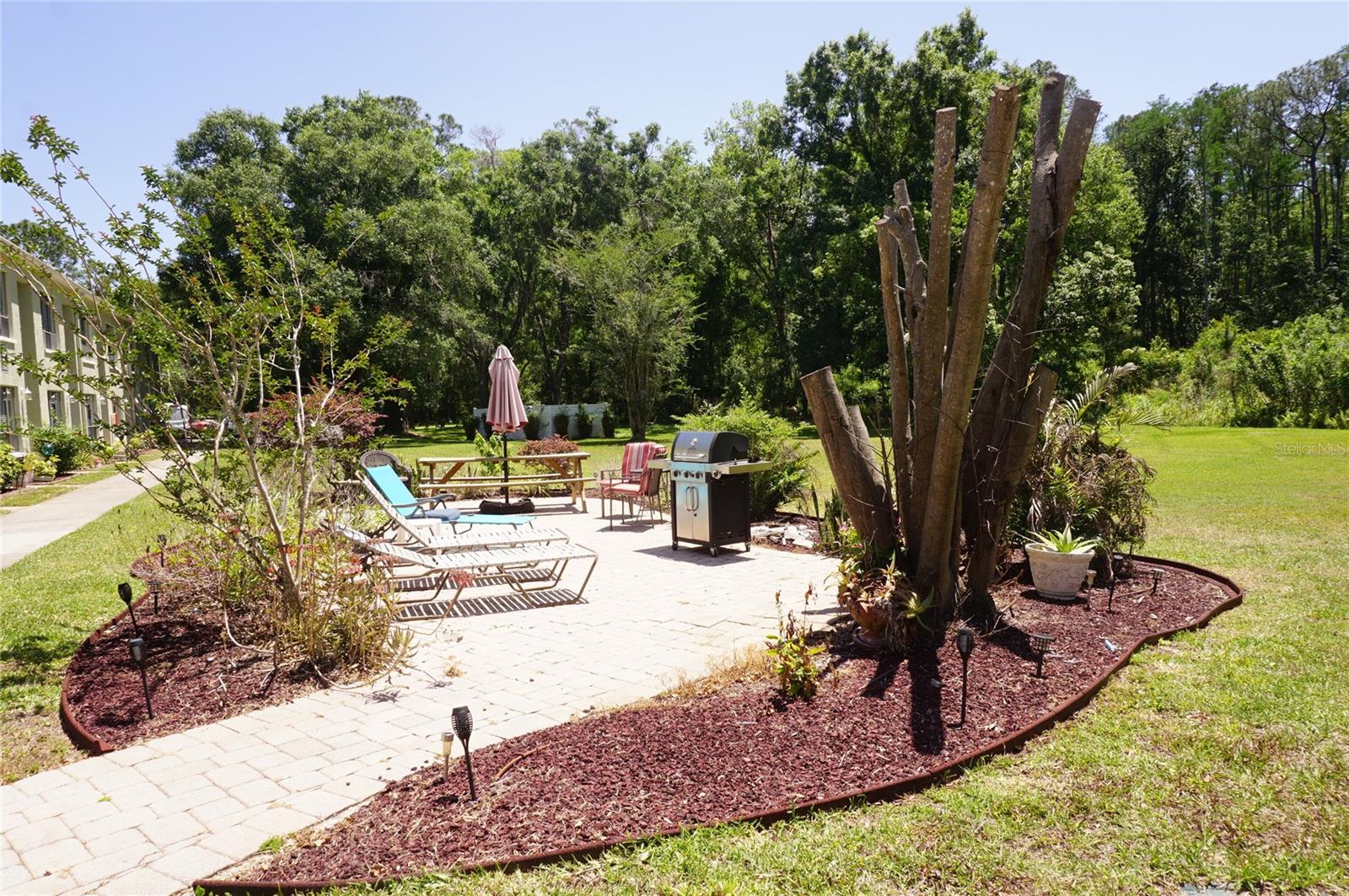 1775 Cupecoy Unit O6, Lutz, FL 33558