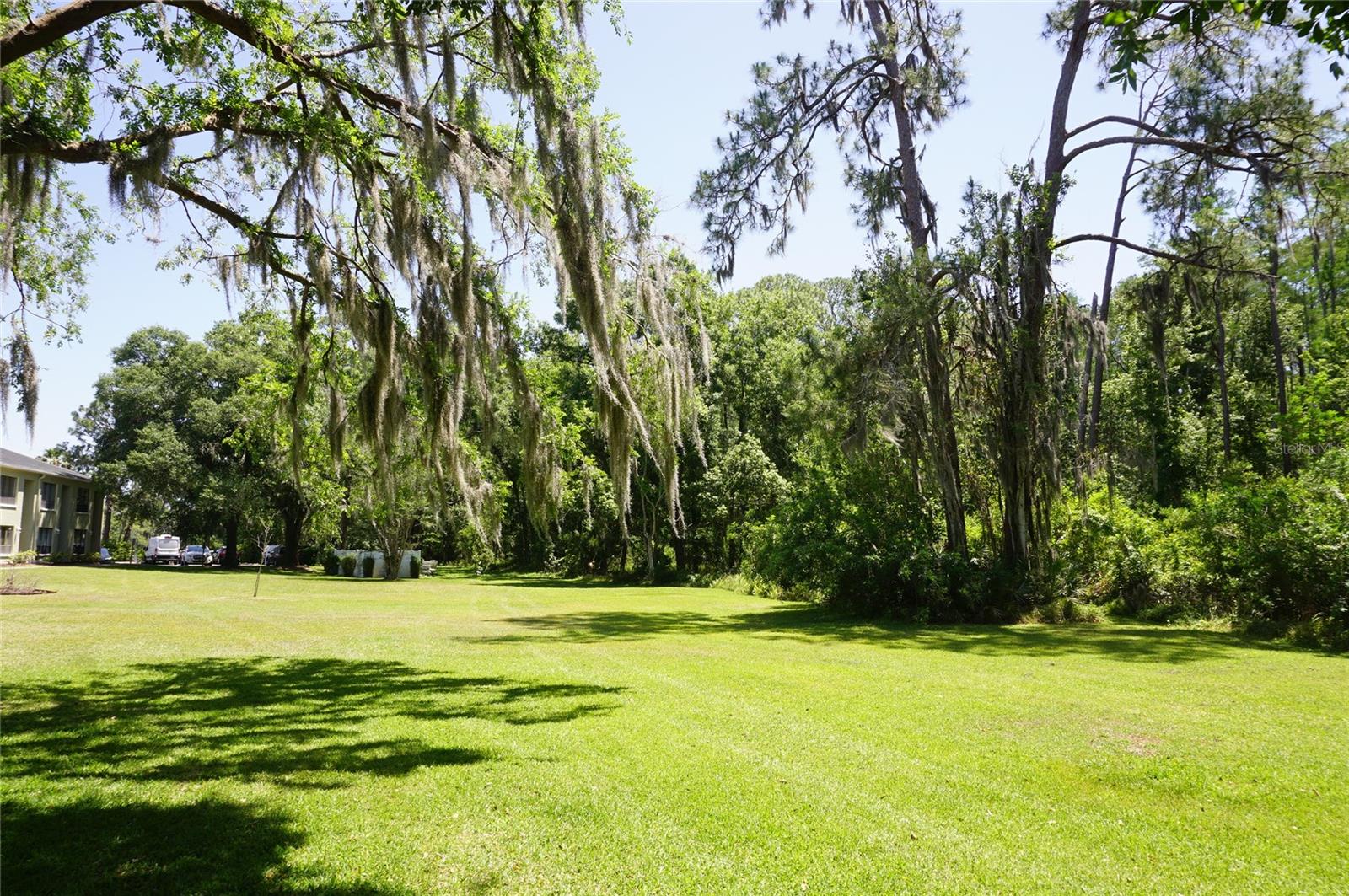 1775 Cupecoy Unit O6, Lutz, FL 33558