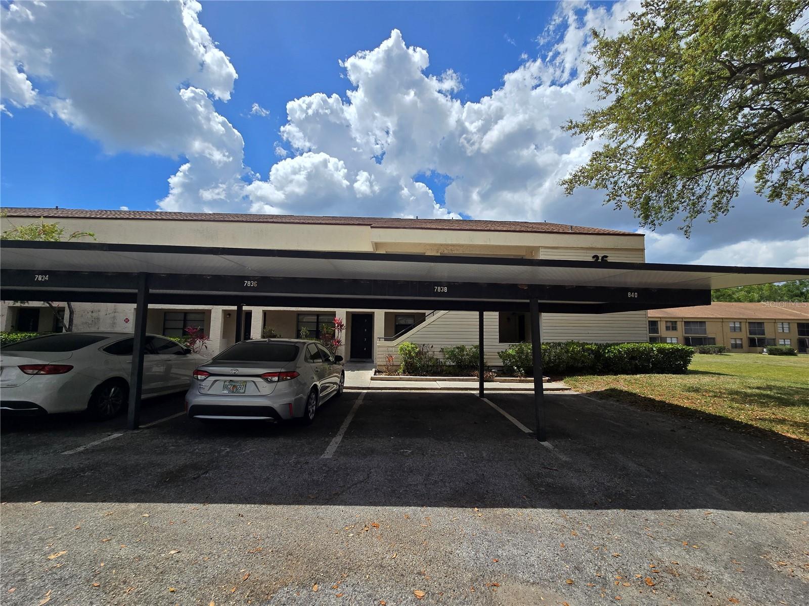 7838 Niagara Unit 305, Tampa, FL 33617