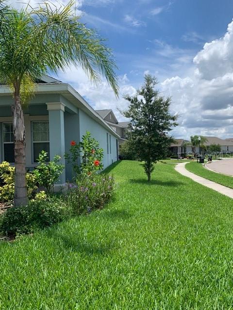 14072 Gold Bridge, Orlando, FL 32824