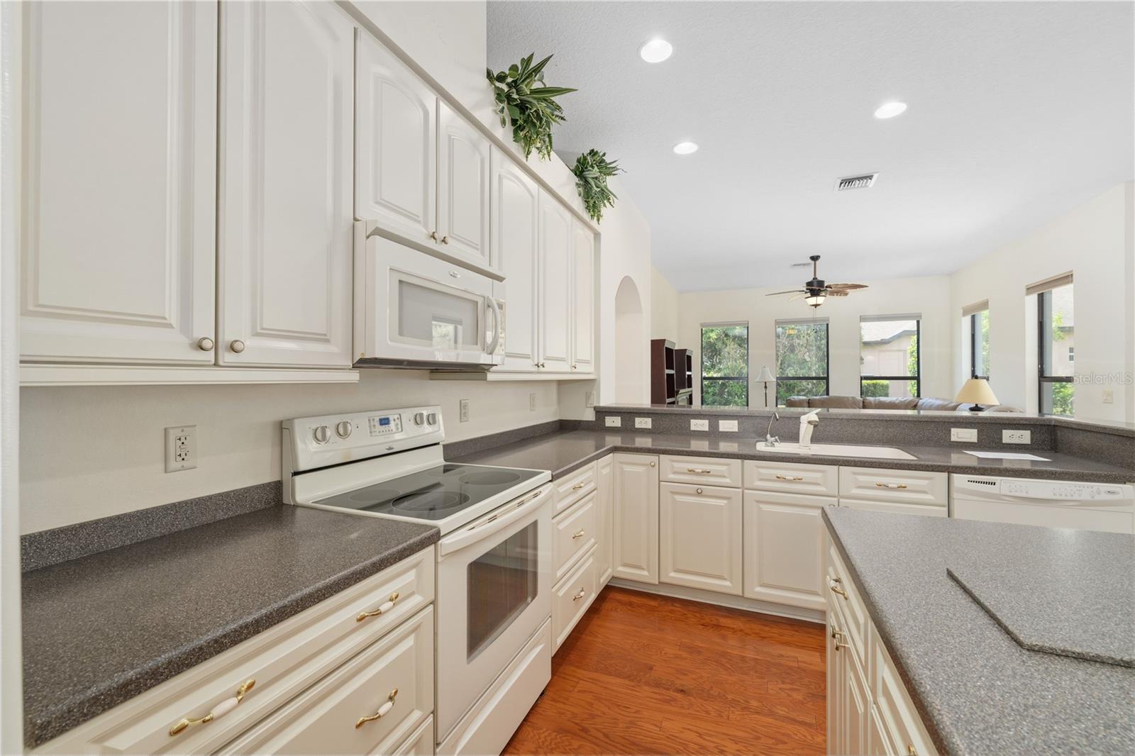 8061 Waterbury, Mount Dora, FL 32757