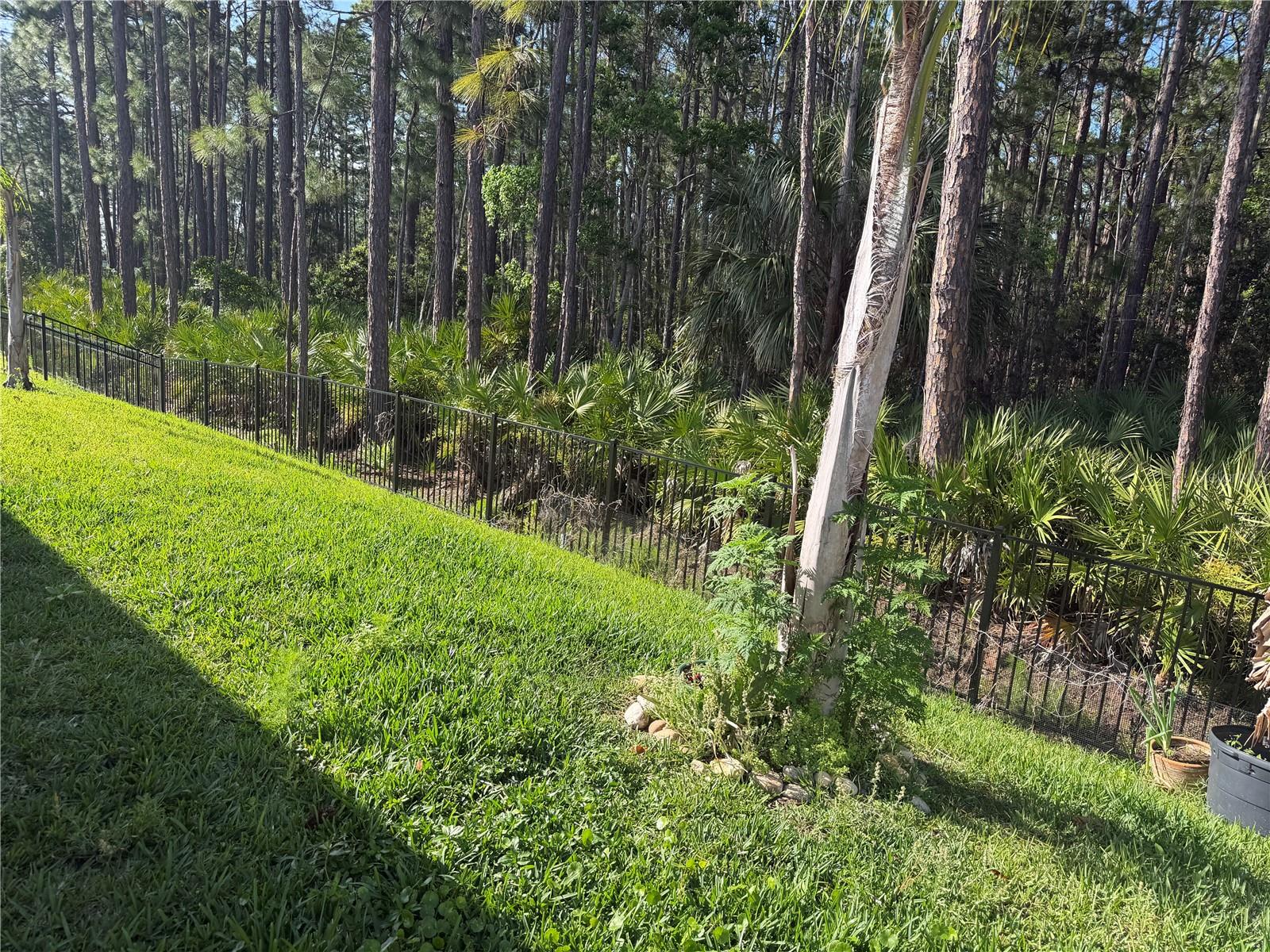 1339 Morning Walk, Ormond Beach, FL 32174