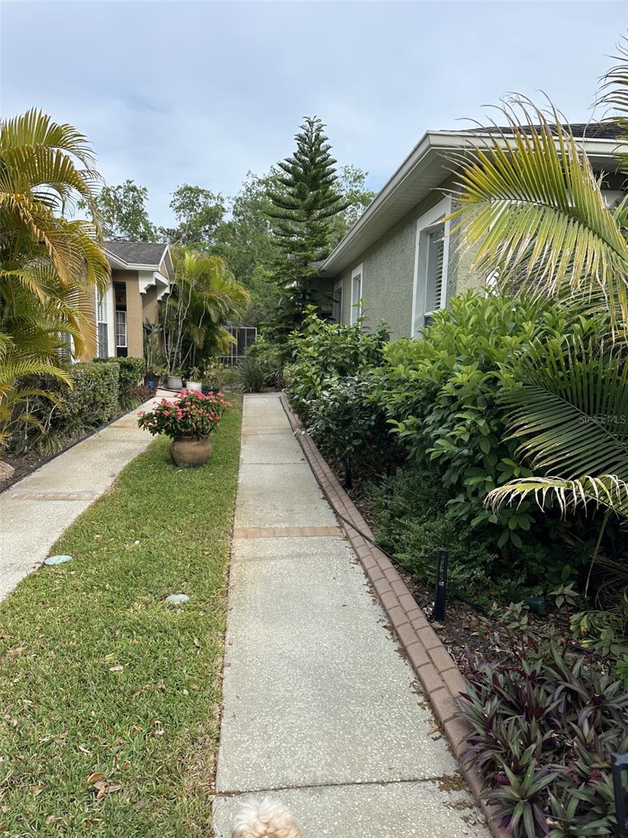 19113 Doves Landing, Tampa, FL 33647