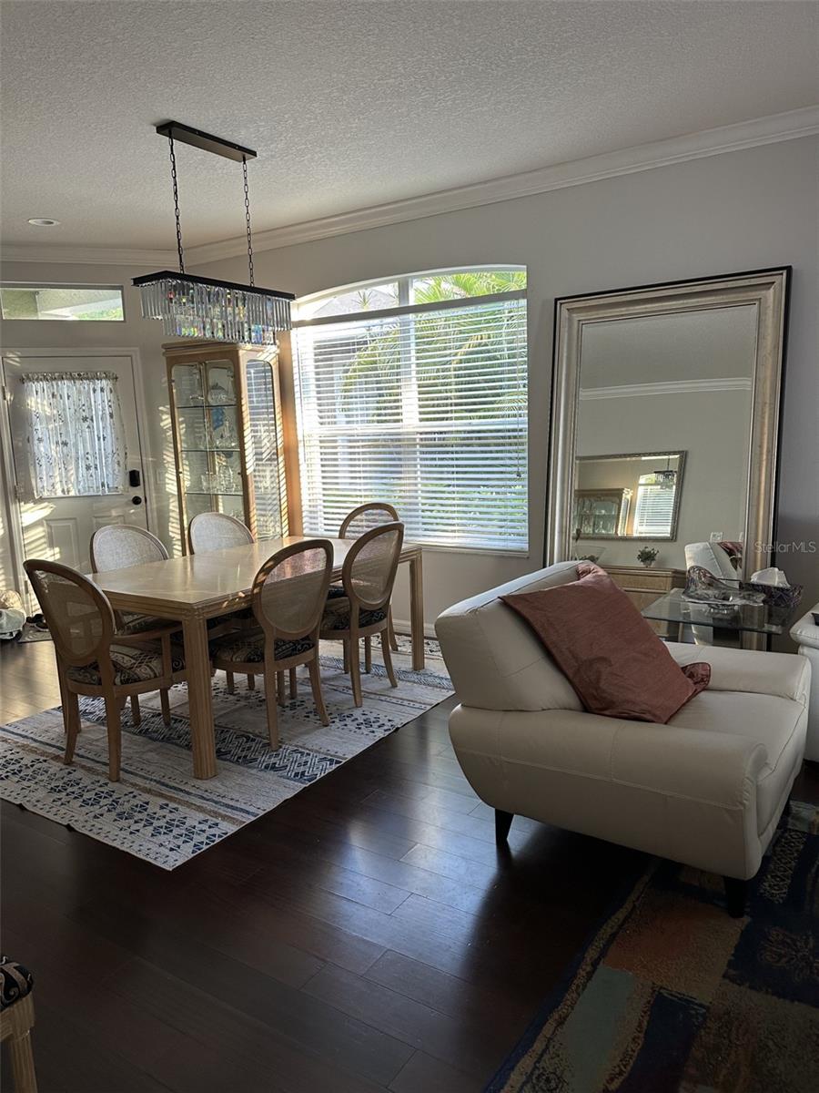 19113 Doves Landing, Tampa, FL 33647