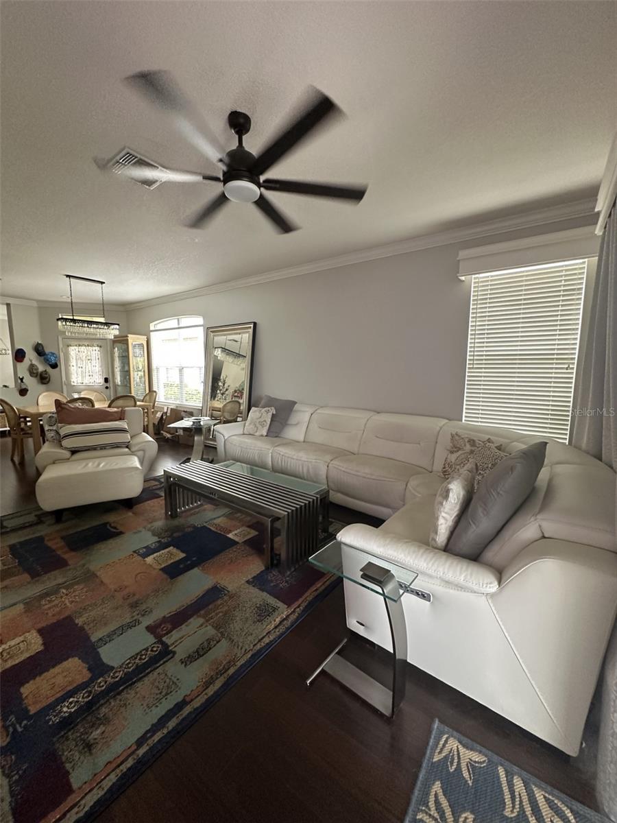 19113 Doves Landing, Tampa, FL 33647