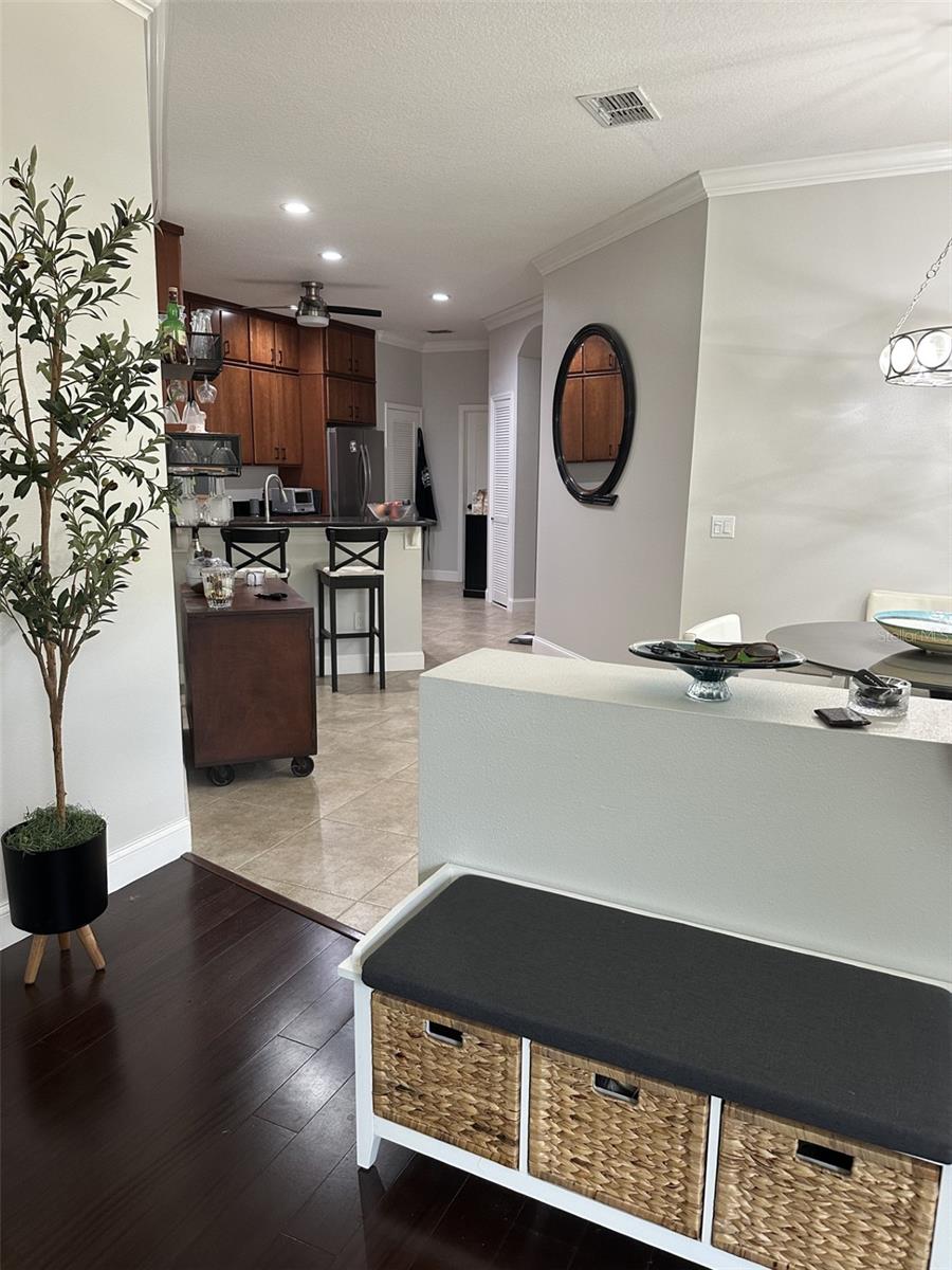 19113 Doves Landing, Tampa, FL 33647