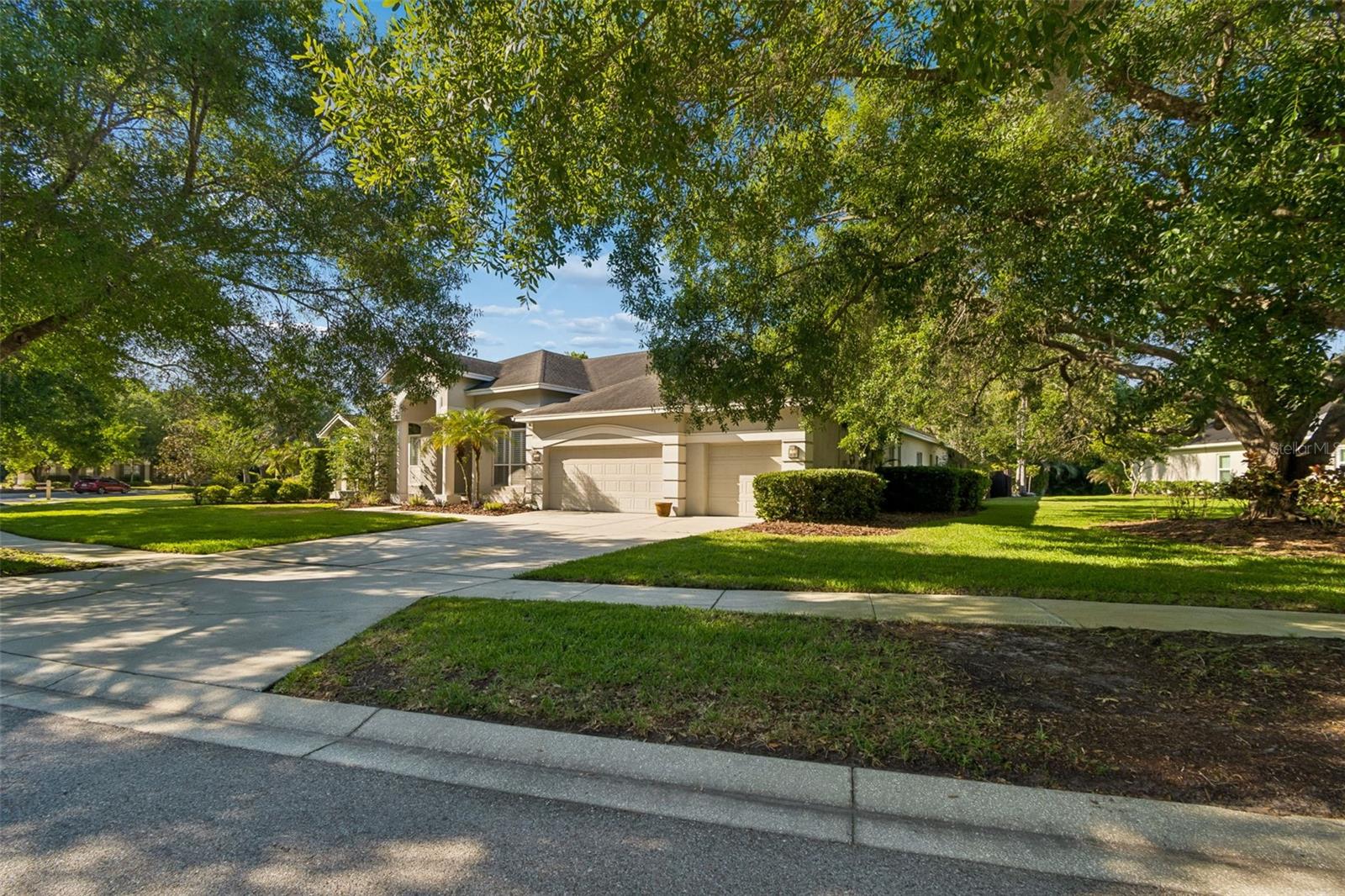 19108 Centre Rose, Lutz, FL 33558
