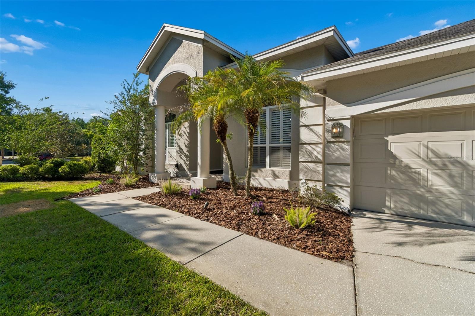 19108 Centre Rose, Lutz, FL 33558