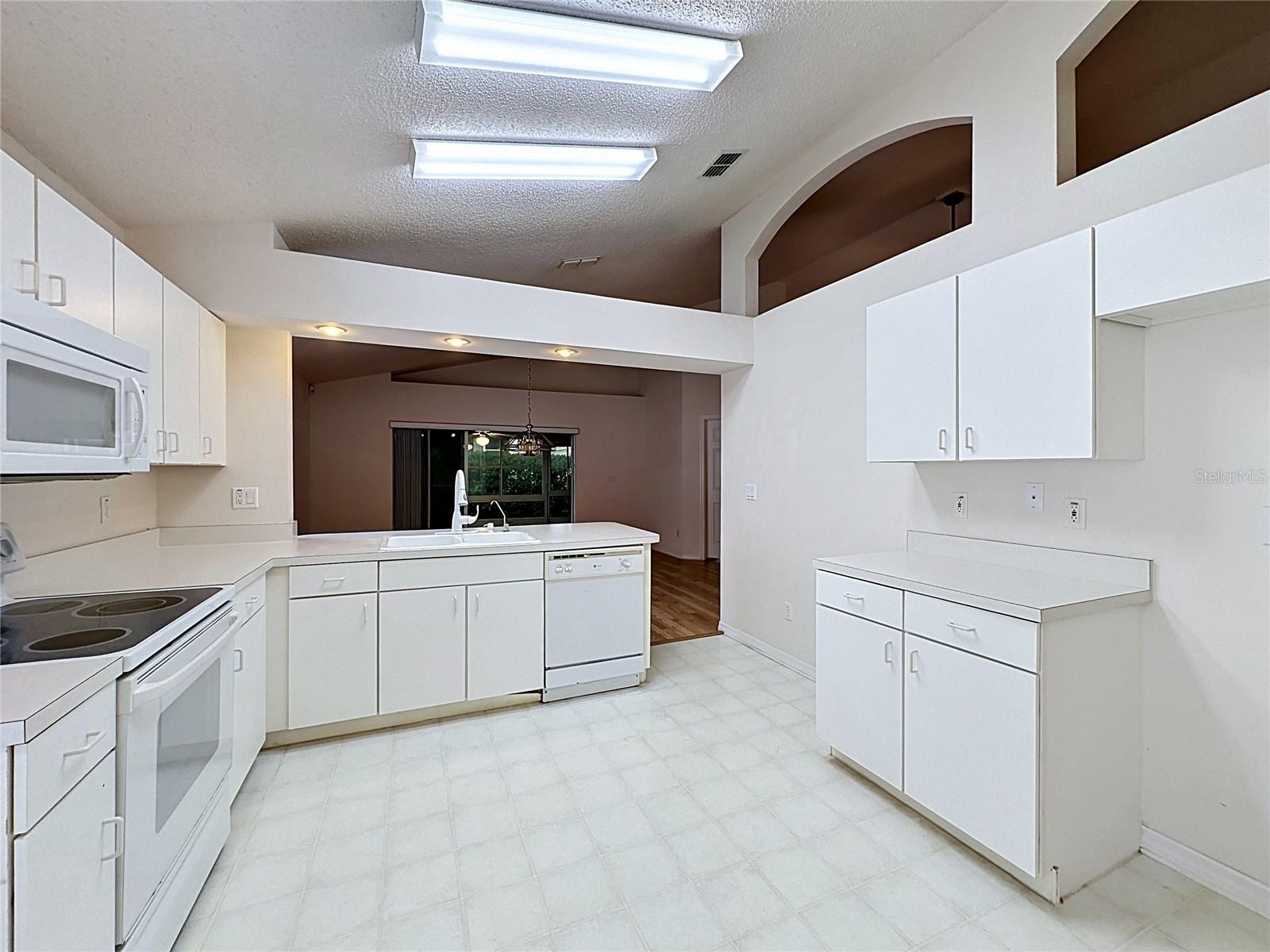 3675 Eversholt, Clermont, FL 34711
