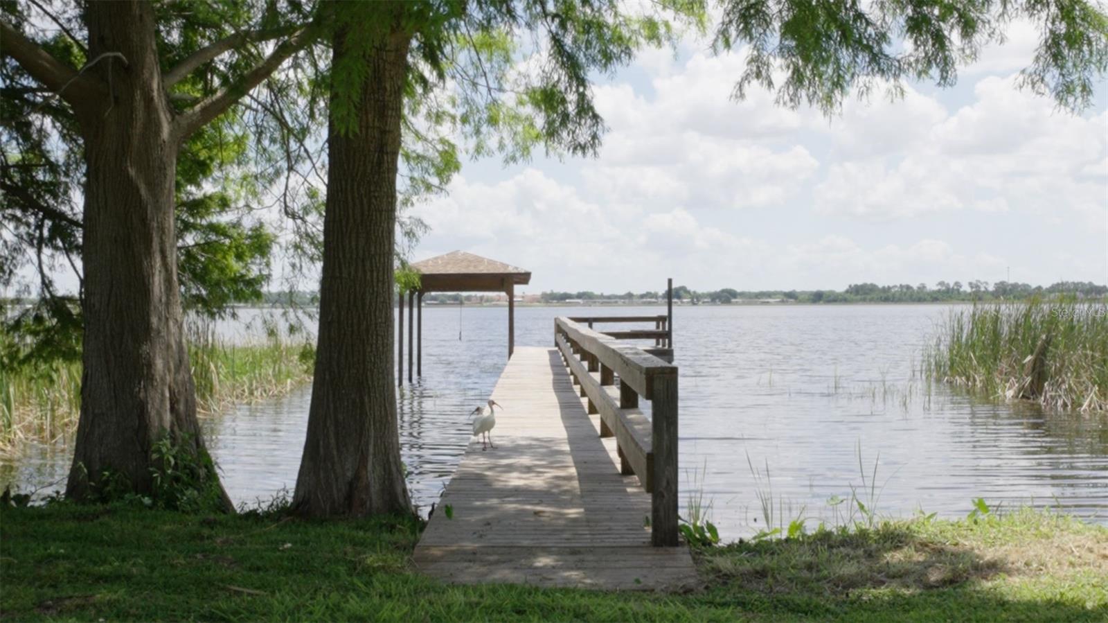 410 Ramona, Lake Alfred, FL 33850