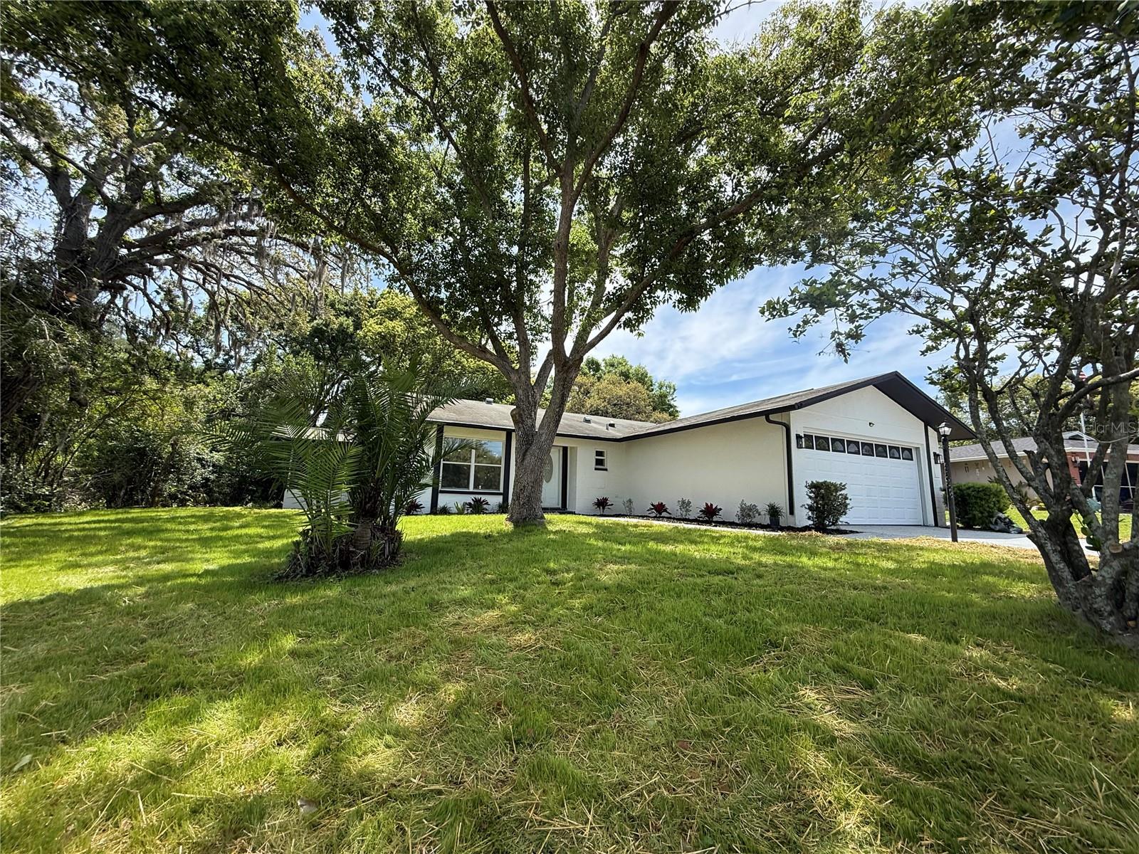 10501 Hardwood, Port Richey, FL 34668