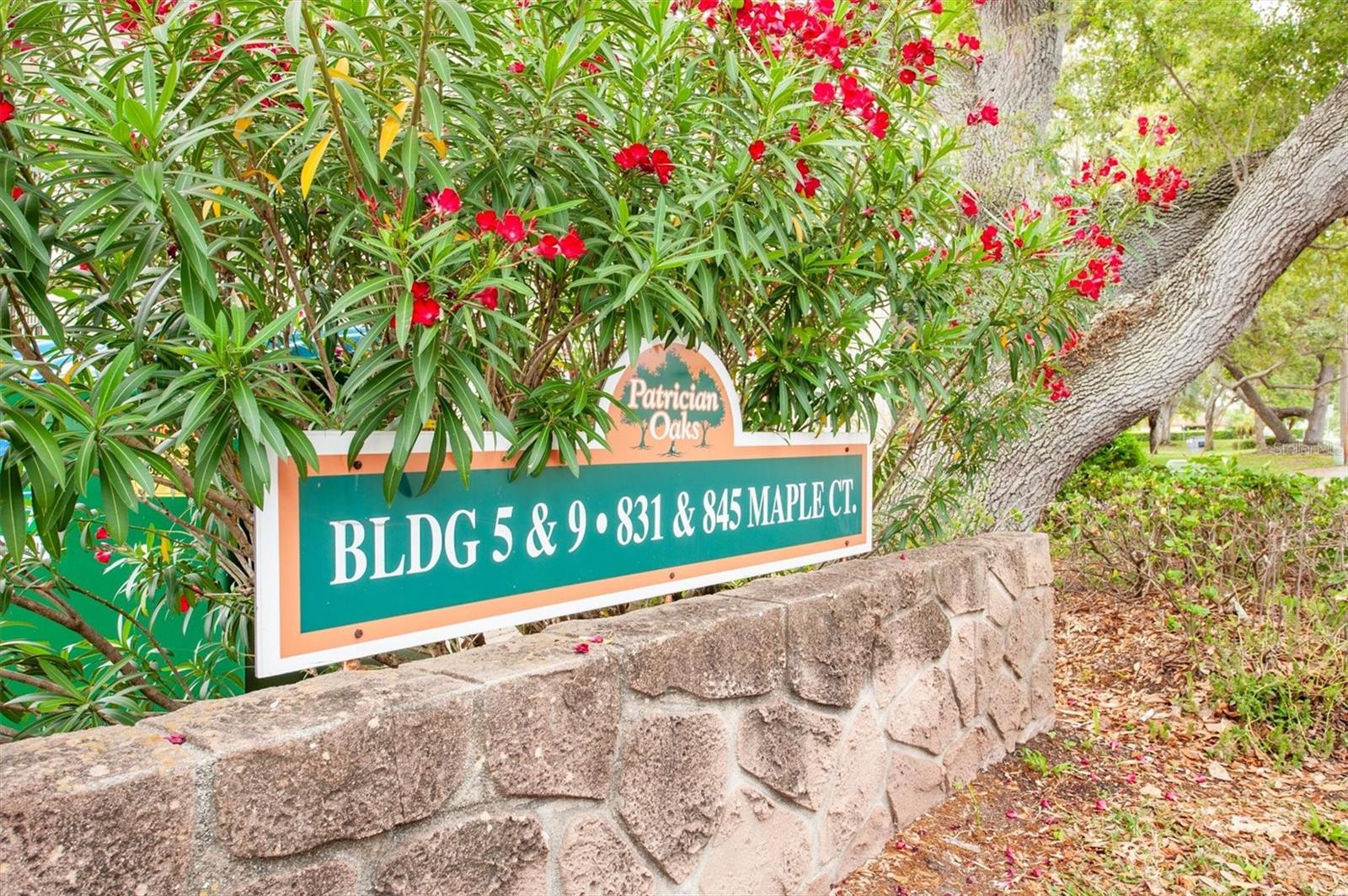 845 Maple Unit 103, Dunedin, FL 34698