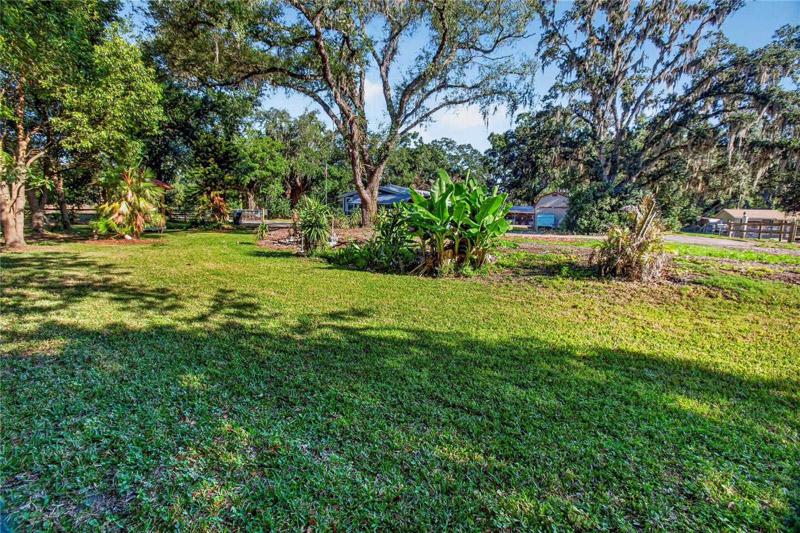 10627 Mcintosh, Thonotosassa, FL 33592