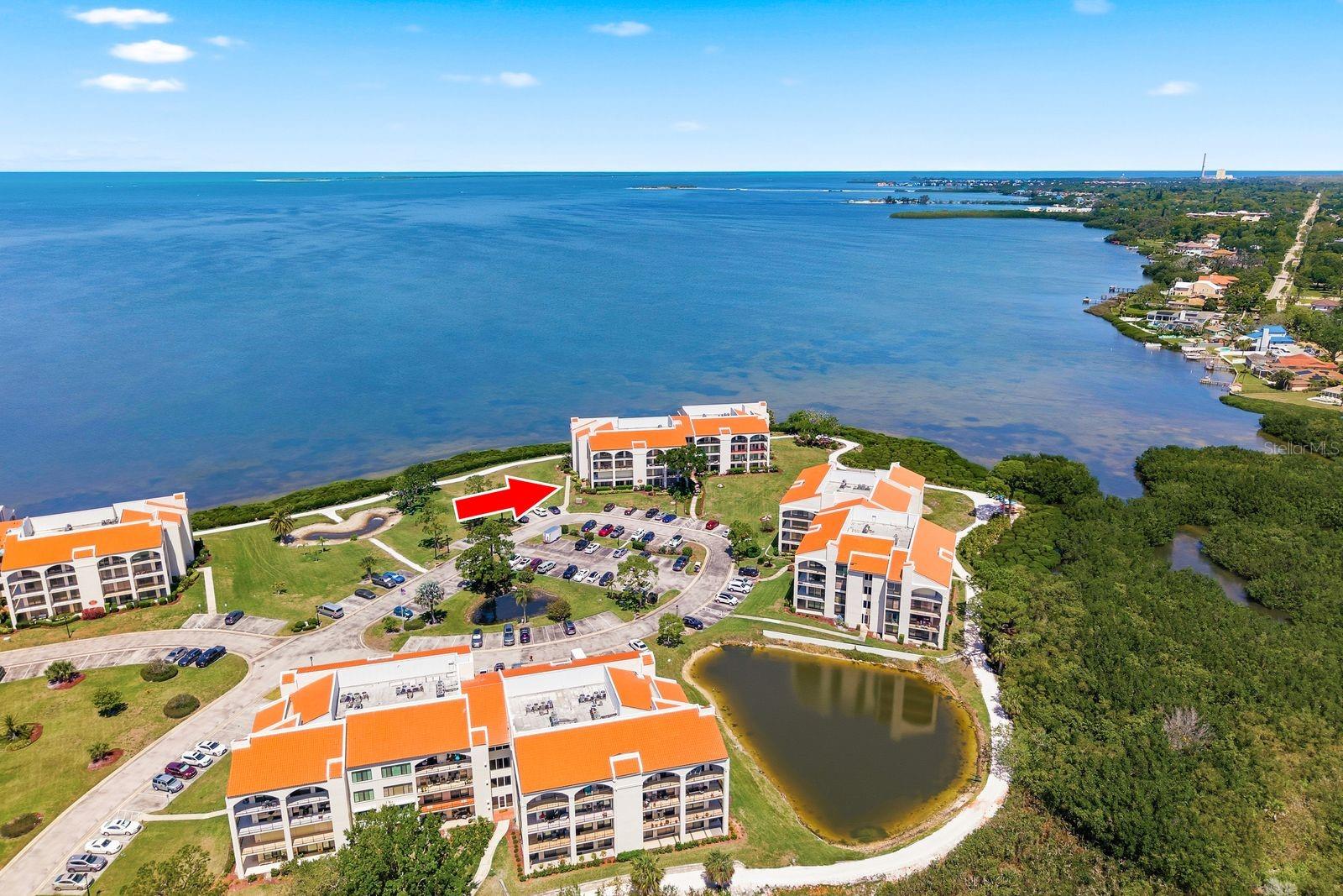 302 Mariner Unit 302, Tarpon Springs, FL 34689