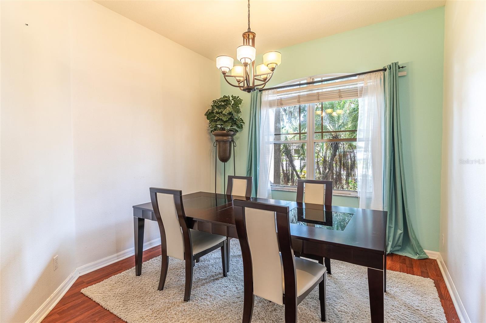 2539 Centennial Falcon, Valrico, FL 33596