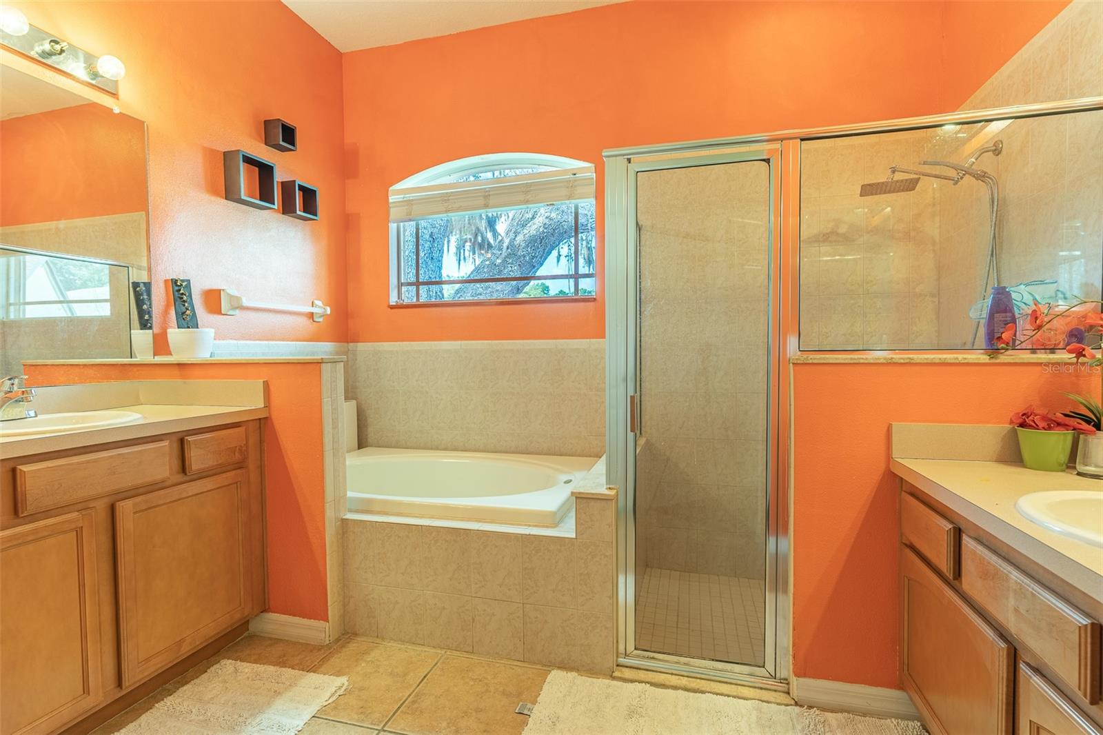 2539 Centennial Falcon, Valrico, FL 33596