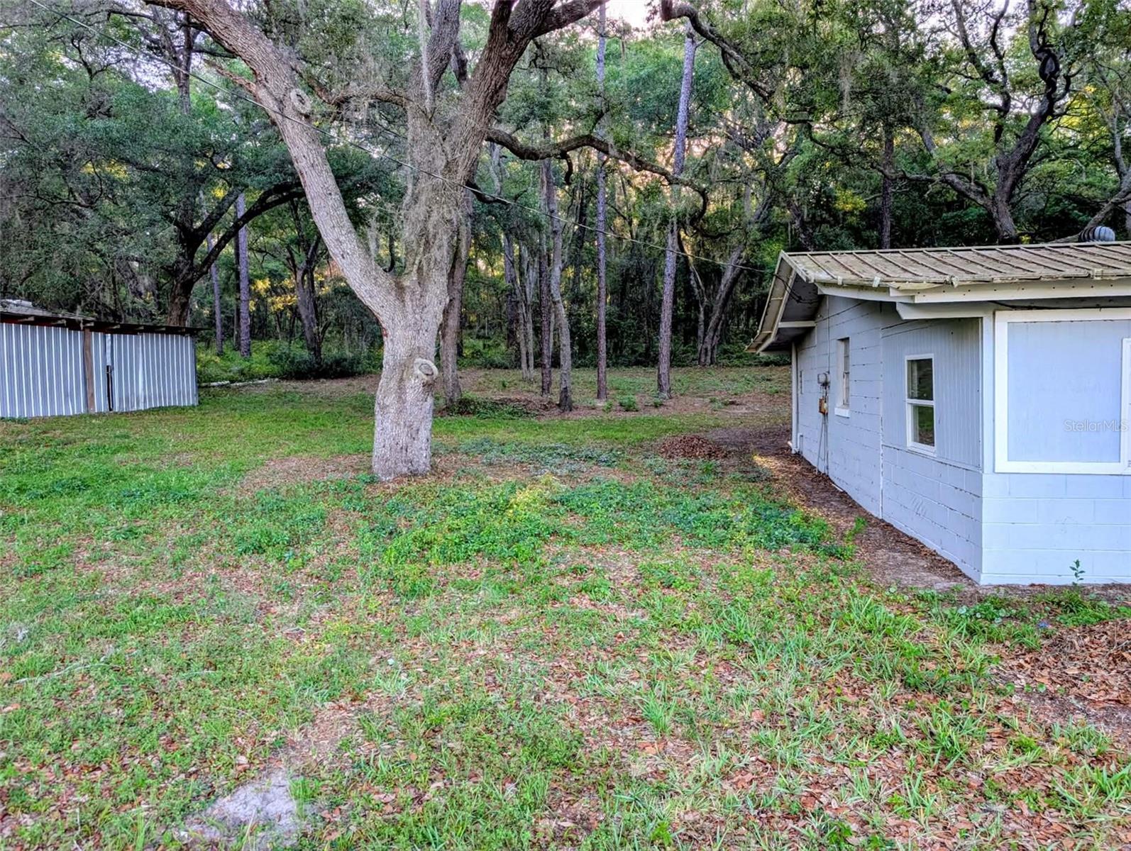 17247 284th, Umatilla, FL 32784