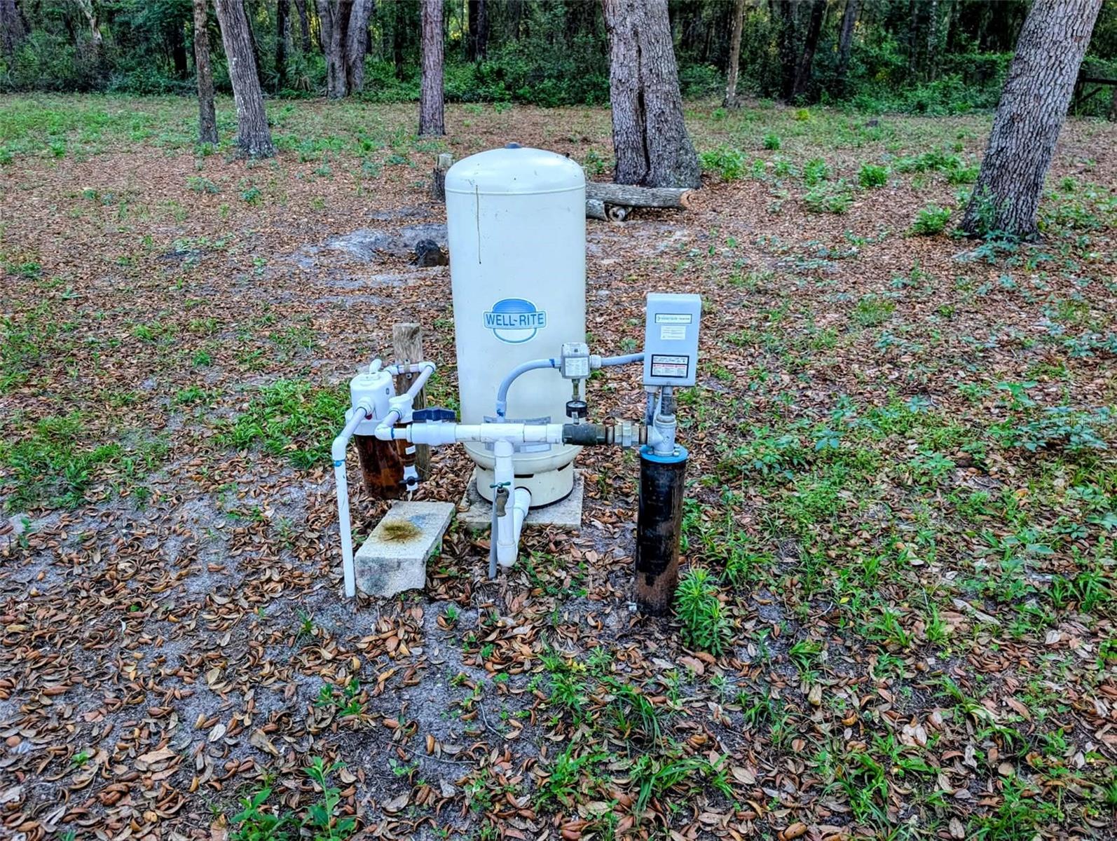 17247 284th, Umatilla, FL 32784