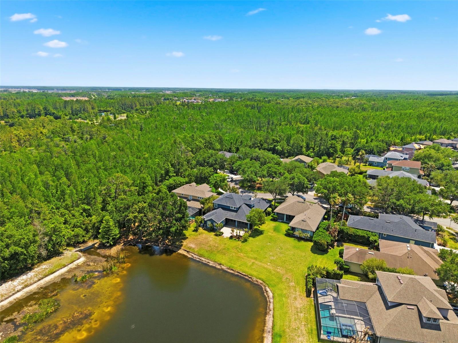 20629 Wild Plum, Land O Lakes, FL 34637