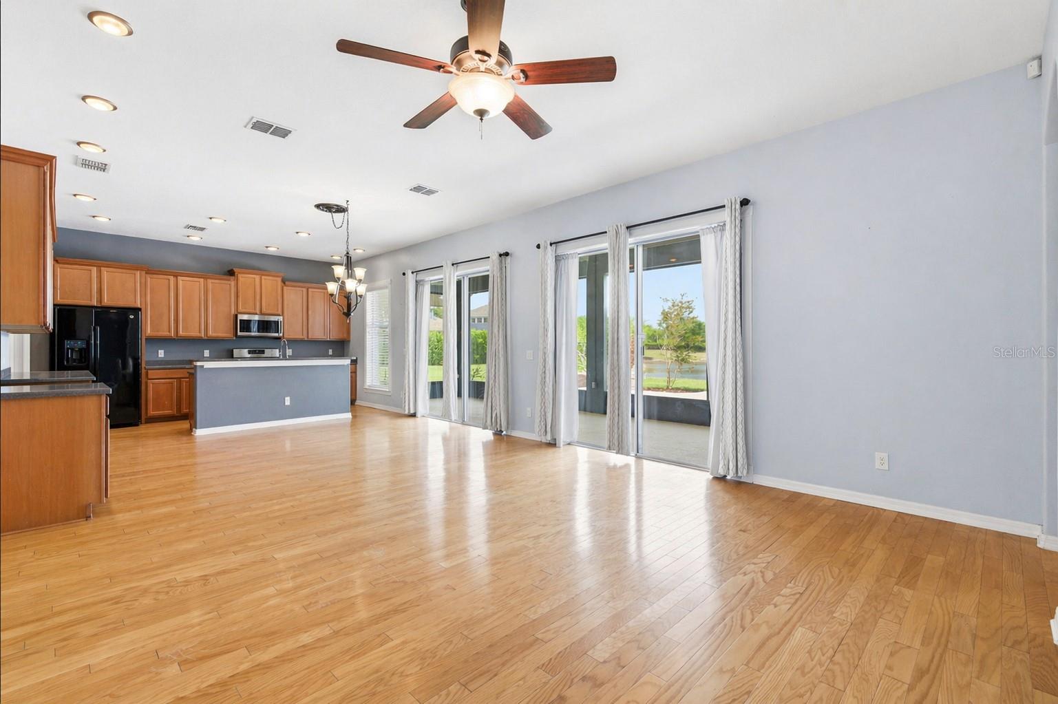 20629 Wild Plum, Land O Lakes, FL 34637