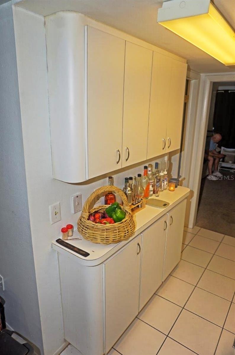 20857 Haulover Unit B14, Lutz, FL 33558