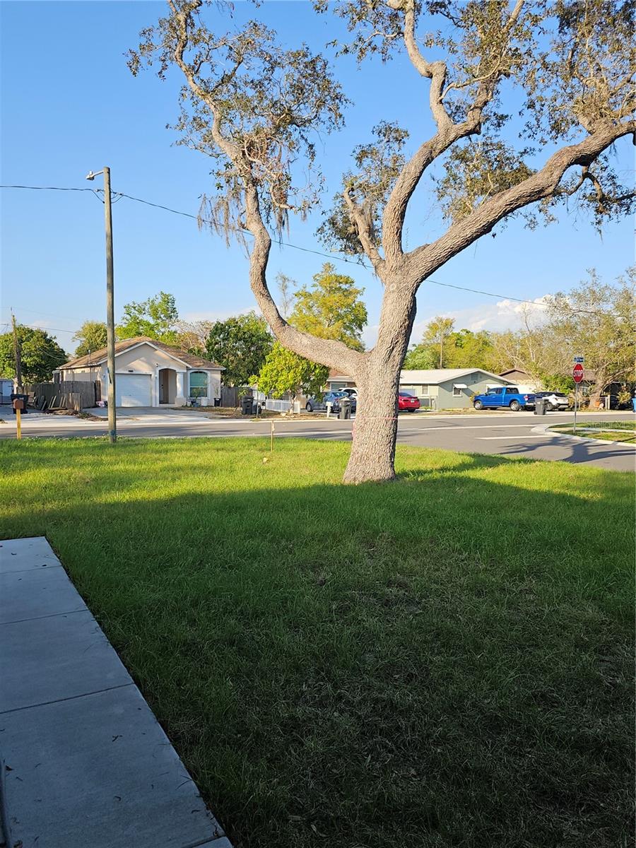 4502 42nd, St Petersburg, FL 33714