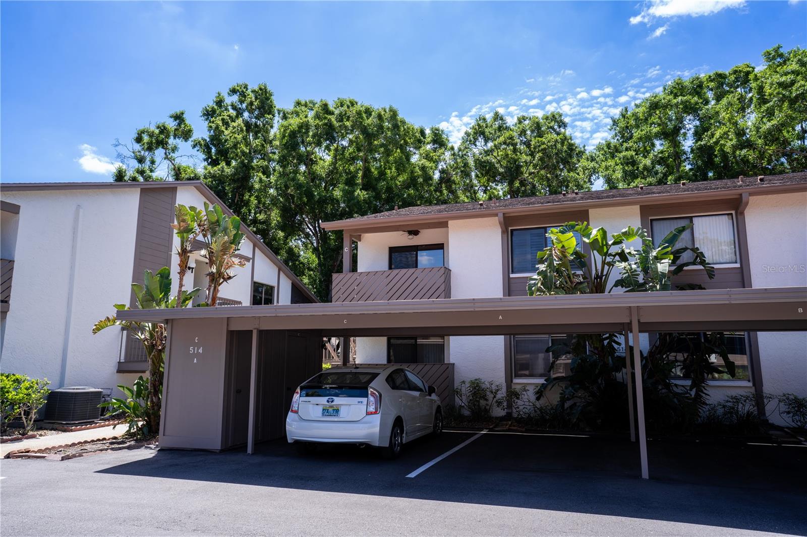 514 Tabor Unit C, Safety Harbor, FL 34695