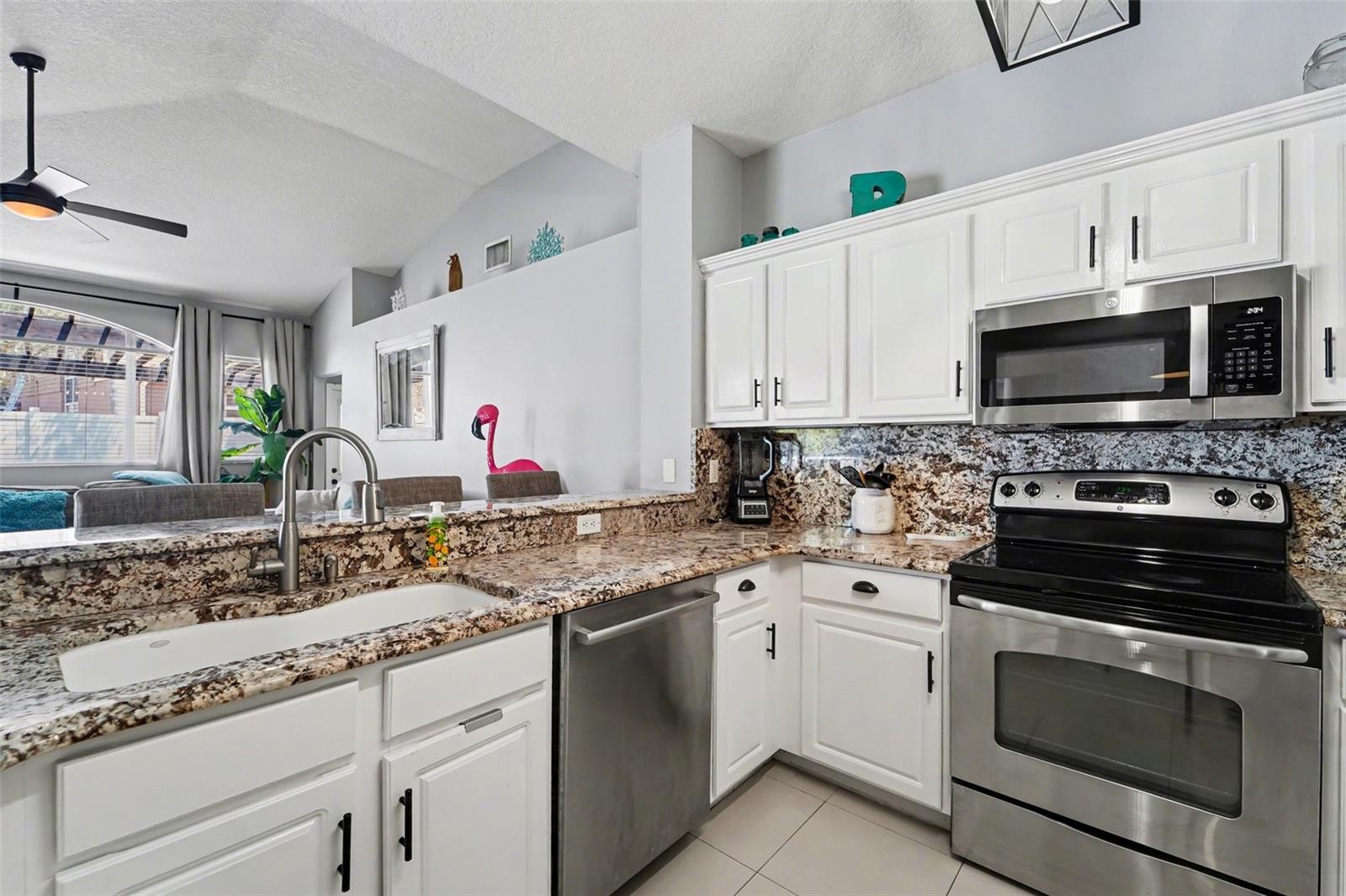 19717 Wyndham Lakes, Odessa, FL 33556