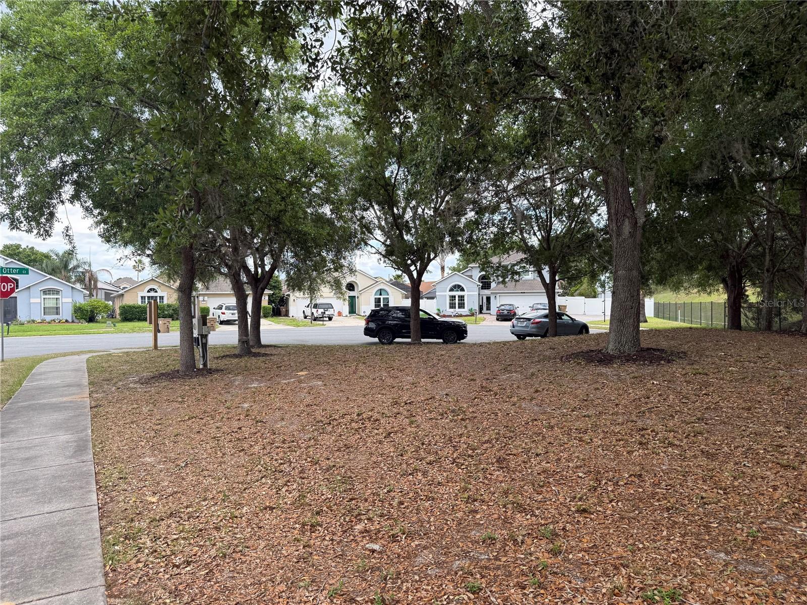 8128 Yellow Crane, Kissimmee, FL 34747