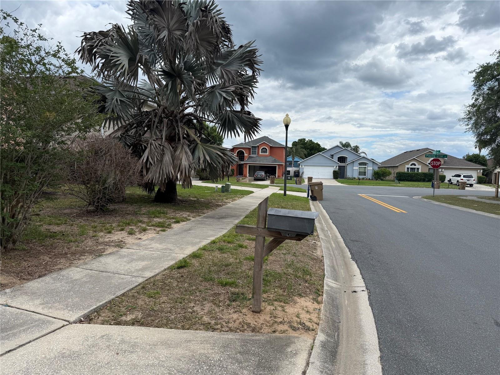8128 Yellow Crane, Kissimmee, FL 34747