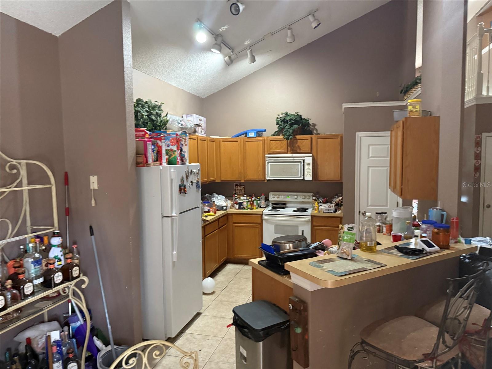 8128 Yellow Crane, Kissimmee, FL 34747