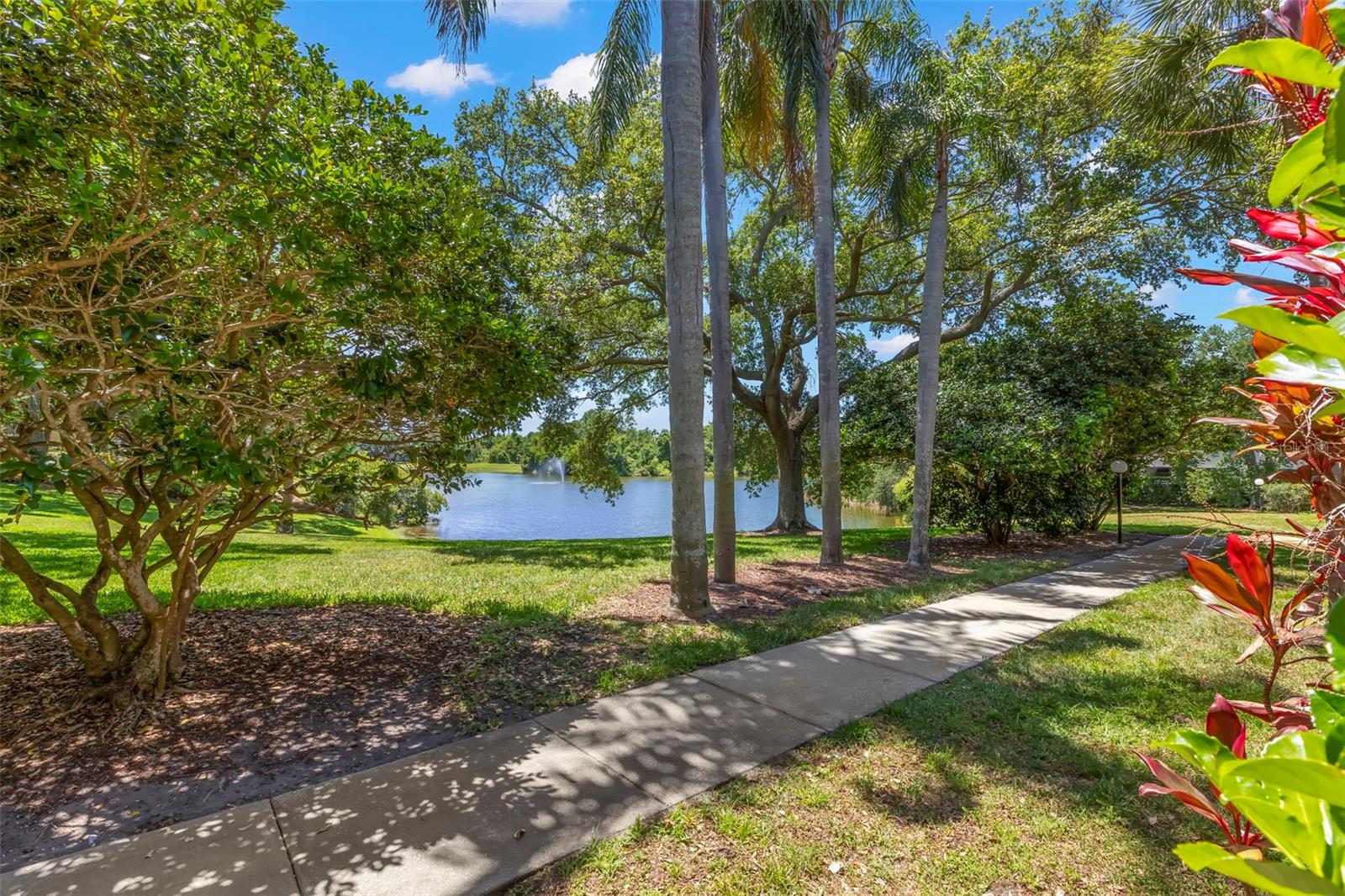 2690 Coral Landings Unit 112, Palm Harbor, FL 34684