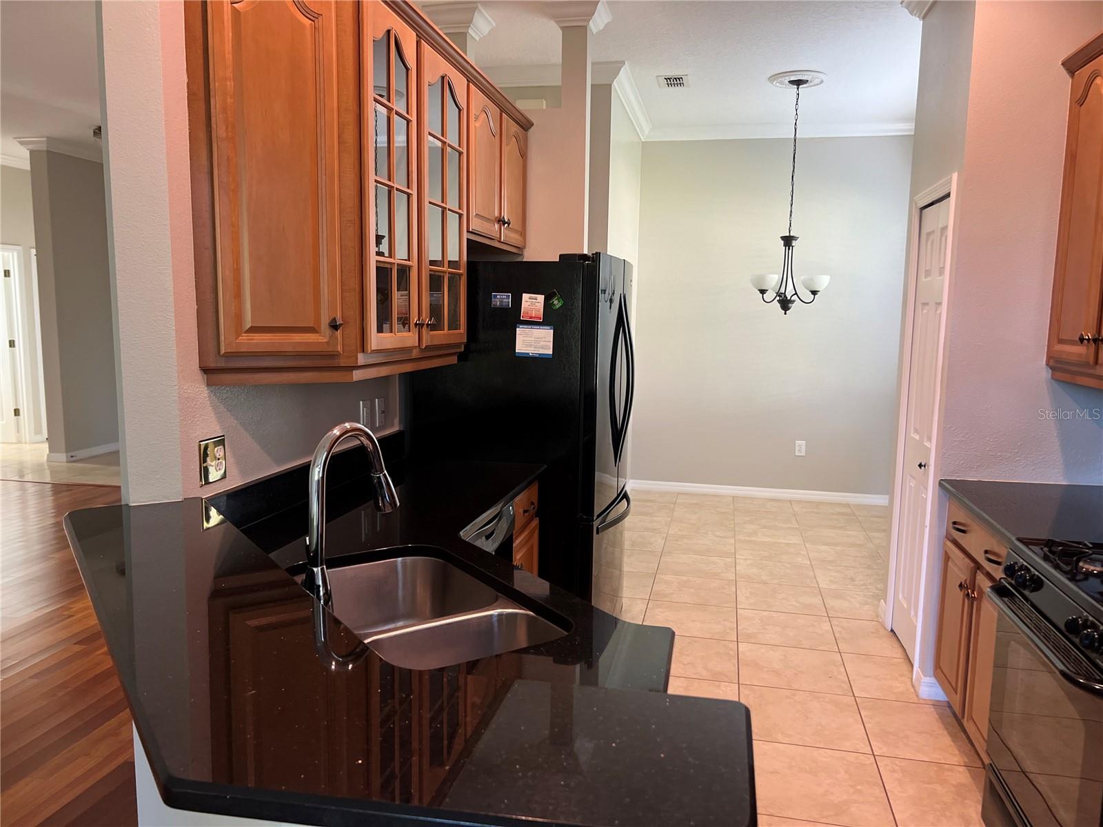 119 Falling Acorn, Groveland, FL 34736