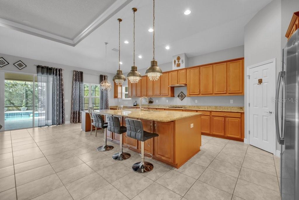15409 Starling Crossing, Lithia, FL 33547
