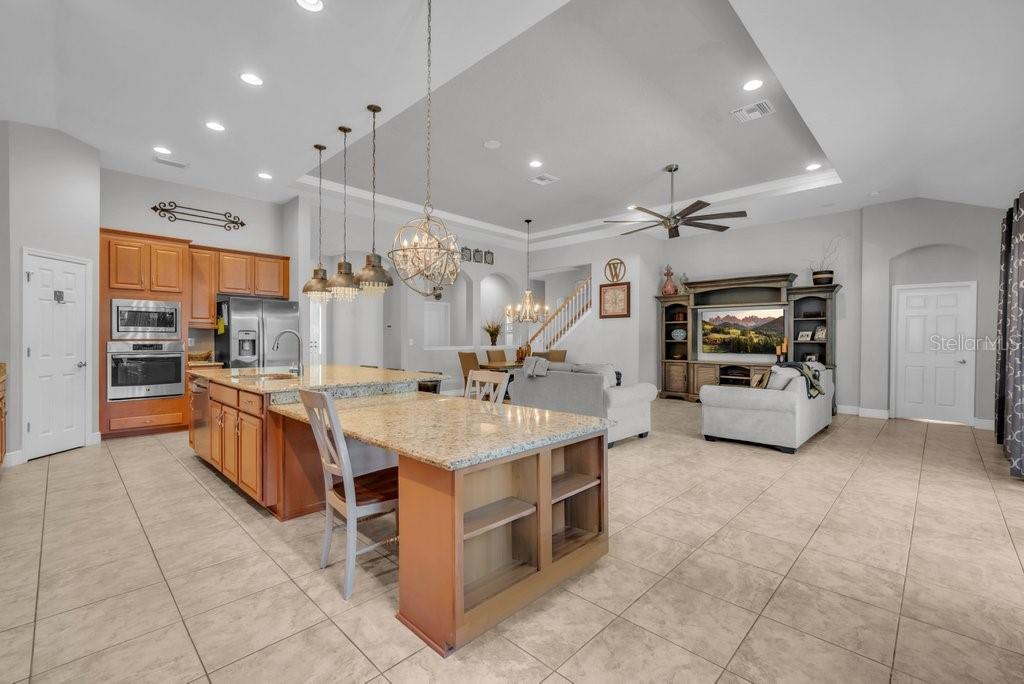 15409 Starling Crossing, Lithia, FL 33547