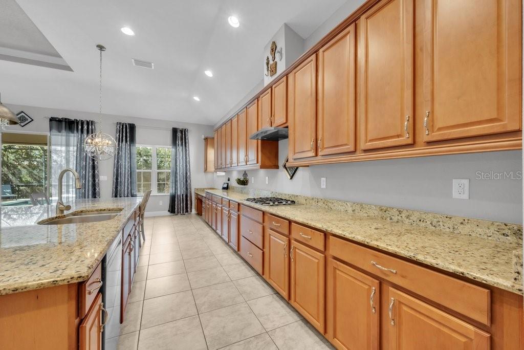 15409 Starling Crossing, Lithia, FL 33547